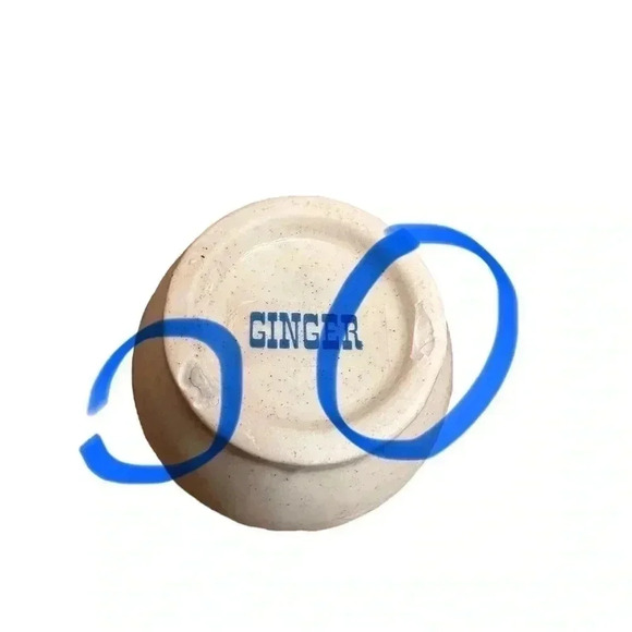 International China Marmalade Vintage Geese Fruit Ribbon Spice Jars Set of 4 - Picture 16 of 17